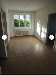charmante-45-zimmer-wohnung-mit-balkon-und-chemine-a8558377-5854-4b27-8dc0-ccce292db48b