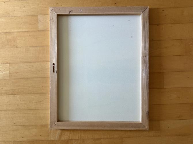 zu-verschenken-schoenes-blumenbild-7068e923-f362-4334-8d0b-0351886b2d0e